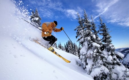 crystal mountain - crystal, mountain, snow, skiing, tree