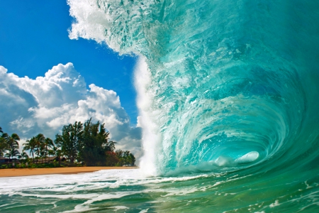 Breaking Wave - beach, trees, summer, hawaii, wave, oahu, white, tube, clouds, blue, beautiful, island, green, sea, sand