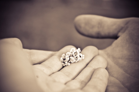 â™¥ - hands, abstract, photography, soft