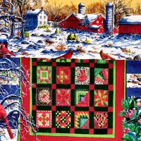 Amish Quilt on the Winter Fence 1