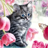 Cat and Tulips F1C