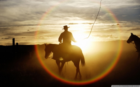 ranch horse - sunset, nature, horses, animals