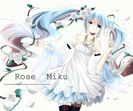 Rose Miku - nice, beauty, female, sundress, twintail, simple, anime girl, rose, miku hatsune, pretty, anime, blouse, miku, twin tail, hatsune miku, girl, twintails, long hair, lovely, hatsune, vocaloids, floral, twin tails, vocaloid, plain, beautiful, blossom, sweet, dress, flower