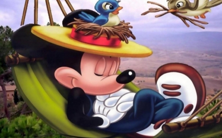 mickey mouse - nest, hammock, mickey, mouse, bird