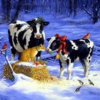 ..Cow Calf Cat in Snow..