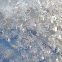 Iceflowers on a window