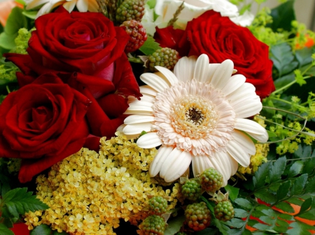 Beautiful rose and gerbera bouquet - white, red, leaves, yellow