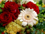 Beautiful rose and gerbera bouquet