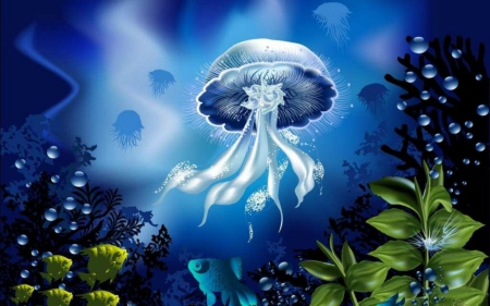 Jellyfish - fishes, jellyfish, blue, underwater