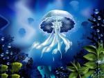 Jellyfish