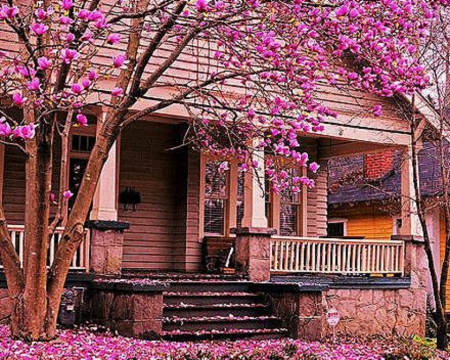 Balcony - house, balcony, trees, architecture