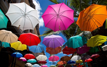 Colorful Umbrellas - style, colorful, hang, umbrellas