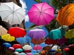 Colorful Umbrellas