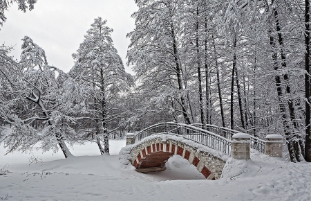 Amazing !!! - snow, trees, winter, bridge