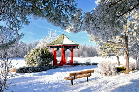 King's park in winter - trees, branches, winter, beautiful, snow, rest, gazebo, frost, bench, sky, park