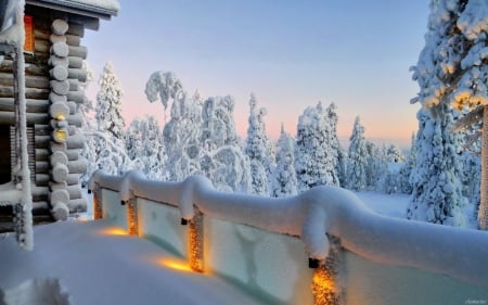 Snow Lights - trees, cabin, cold, landscape, firs, sky