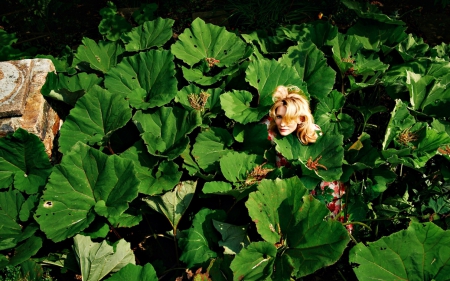 Cate Blanchett - leaf, actress, cate blanchett, woman, green