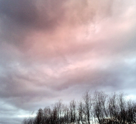 Sky - sky, trees, photography, nature, view, cloud, pink, clouds, blue, tree