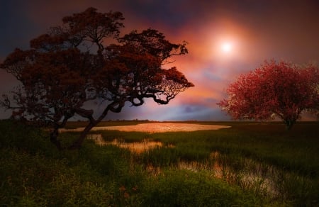 Mystic - sky, trees, sun, field, dark, river, beautiful, clouds, colors, grass