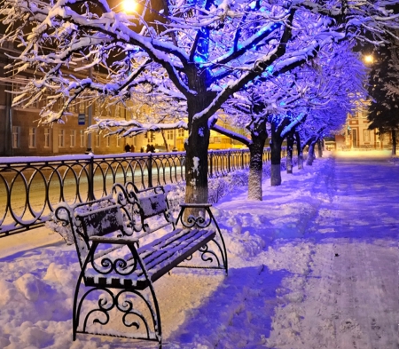 Snow in park - picture, winter, color, wallpaper, new