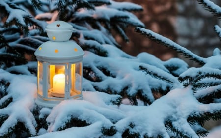 Winter Scenery - hollyday, branches, mood, candle, holiday, lantern, tree, snow, new year