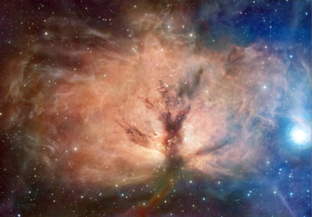 The Flame Nebula in Visible and Infrared - fun, stars, galaxy, cool, space