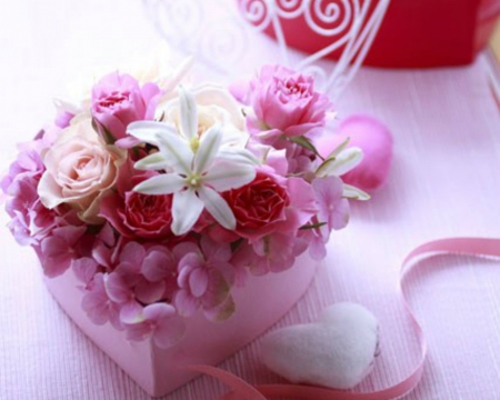 Beautiful Flowers - flowers, petals, pink, bloom