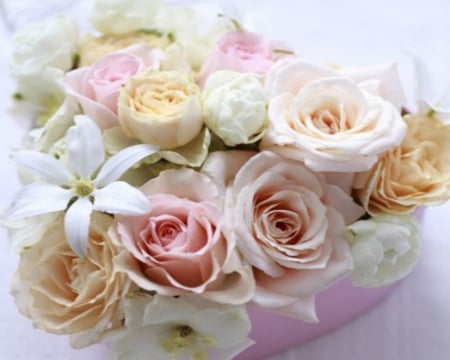 Box of Roses - flowers, box, roses, petals