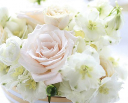 Beautiful Flowers - flowers, roses, petals, bloom