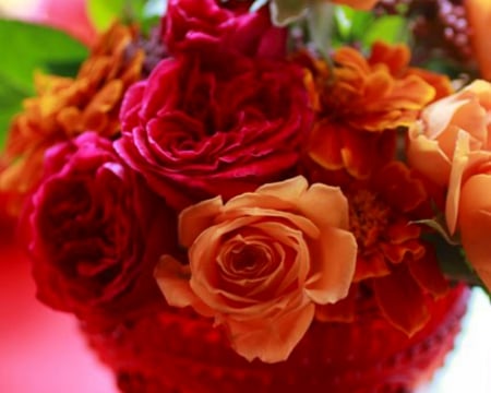 Beautiful Roses - peals, flowers, roses, bloom