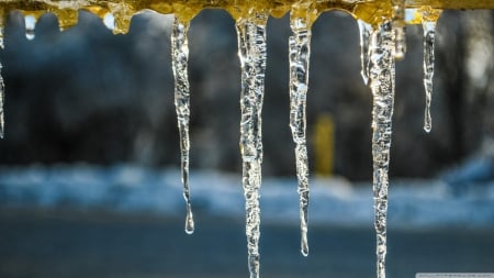 Icicles on a cold storm - abstract, close-up, winter, frosted, photography, HD, ice, frozen, nature, macro, frost, wallpaper, icicles