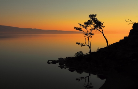 Sunset - trees, nature, sunset, river