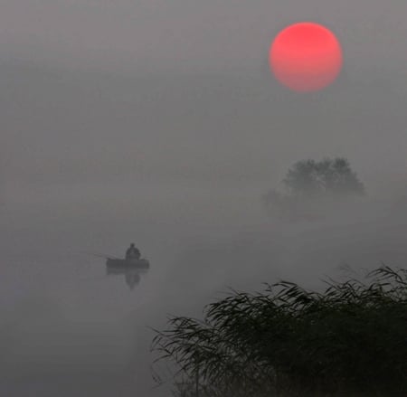 Beautiful Nature - lake, fog, sunset, sun