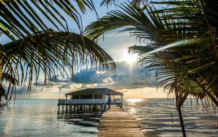 Caribbean Sunrise - clouds, summer, beach, beautiful, sea, sunrise, dock, tropical, palm trees, sky