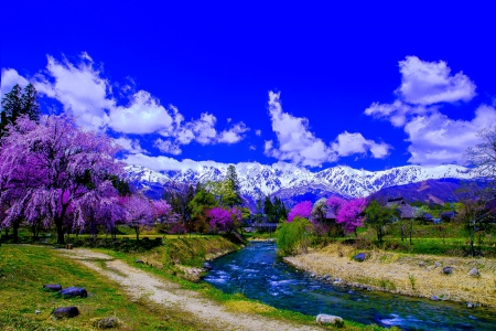 SPRING GARDEN - river, trees, garden, stream, spring, sky