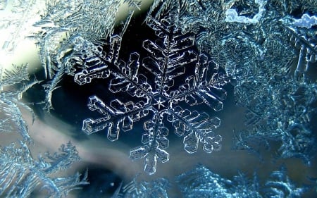 Snowflake - ice, abstract, macro, snowflake