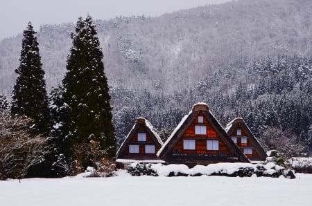 SNOW COTTAGES - forest, mountain, snow, winter, cottages