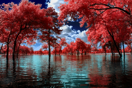 Exit Park - trees, water, park, white, reflections, tranquility, beautiful, clouds, red, blue