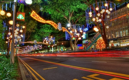 Magic Christmas - road, christmas, lights, beautiful