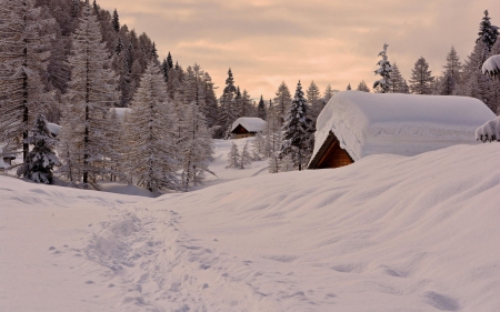 Lovely winter - winter, house, trees, snow