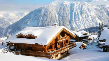 Winter in the Mountains - firs, house, landscape, snow