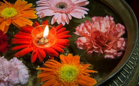 Beautiful Flowers - flowers, candle, pot, floating