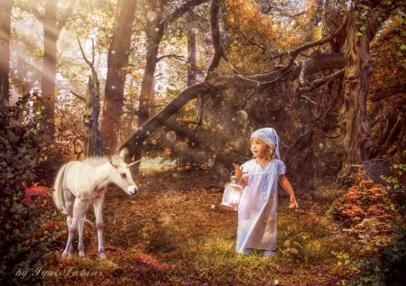 Fairy tales of Autumn - art, autumn, girl, forest