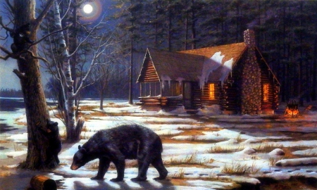 ★Sweet Curious★ - pretty, creative pre-made, snow, holidays, Christmas, corious, winter holidays, trees, winter, beautiful, paintings, colors, lovely, xmas and new year, bear, moons, cottages, love four seasons