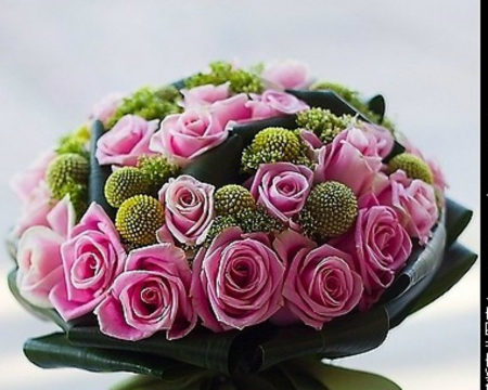 Pink Roses - flowers, roses, petals, pink