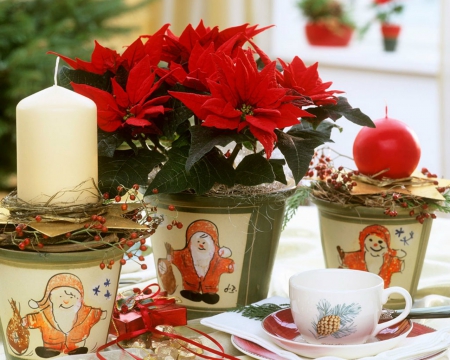 Poinsettia - poinsettia, candle, flowers, cup, christmas