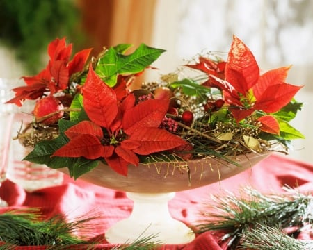 Poinsettia - flowers, table, Poinsettia, decor