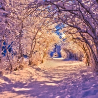 winter alley