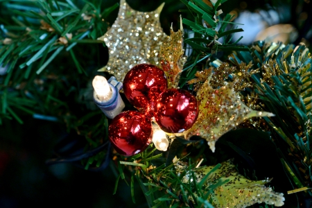 Colors of the season - christmas ornaments, colors of the season, christmas photography, christmas colors