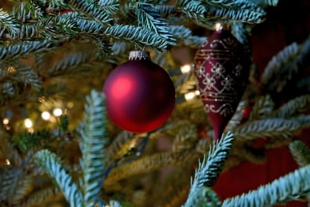 Christmassy Colors - christmas ornaments, christmassy colors, christmas photography, christmas colors